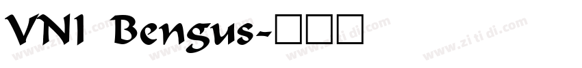 VNI Bengus字体转换